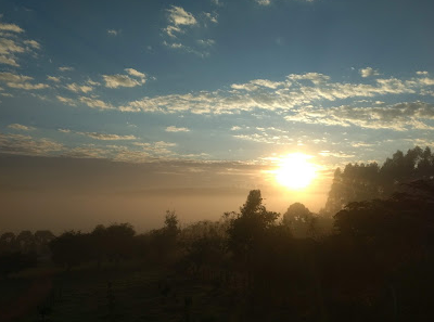 Amanhecer com neblina na zona rural de Prados